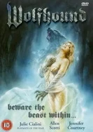 国产视频中文字幕在线观看