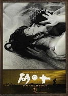 欲性游乐场(高H)