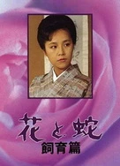 国产黑丝袜在线