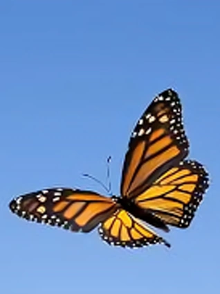 浦泽直树的漫勉第一季