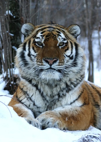 派出所的故事洪剑涛版